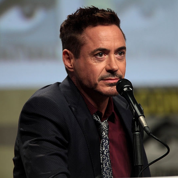 Robert Downey Jr.jpg